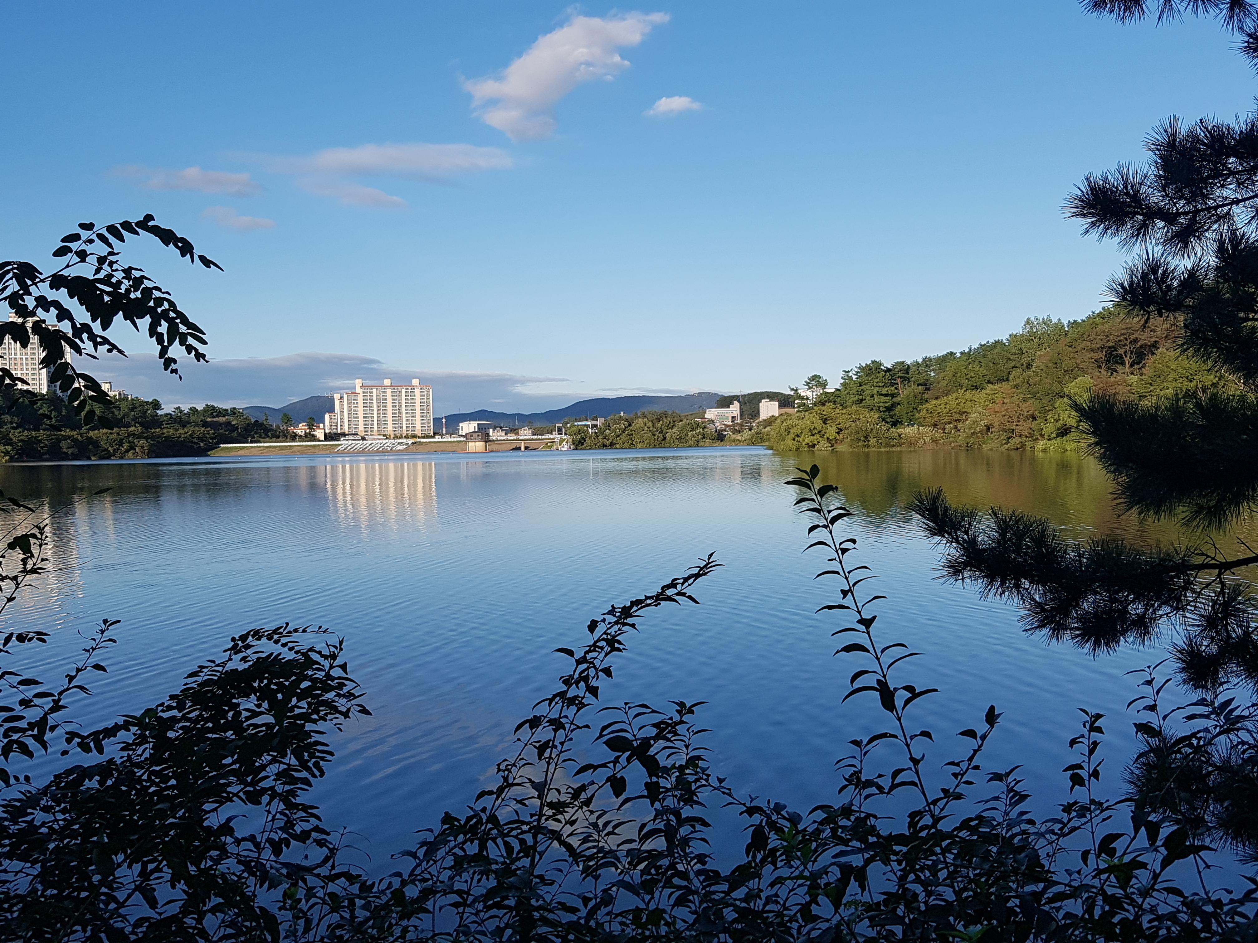 20191003_170706.jpg